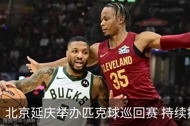 北京延庆举办匹克球巡回赛 持续擦亮户外运动城市名片