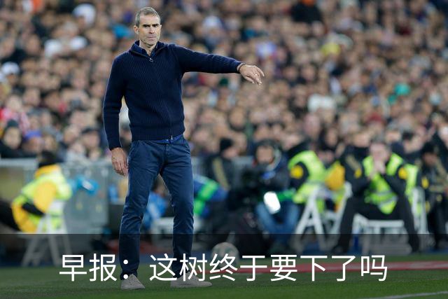 早报：这树终于要下了吗