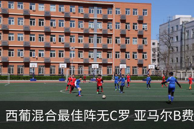 西葡混合最佳阵无C罗 亚马尔B费领衔奥亚萨瓦尔在列