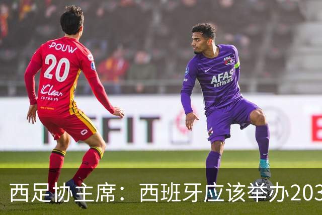 西足协主席：西班牙应该举办2030世界杯决赛，我们各方面条件最优